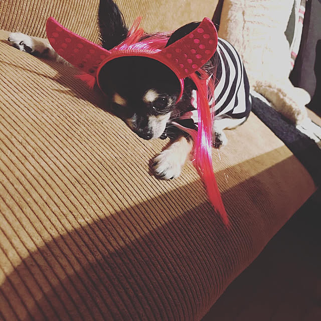 riechocoさんの実例写真