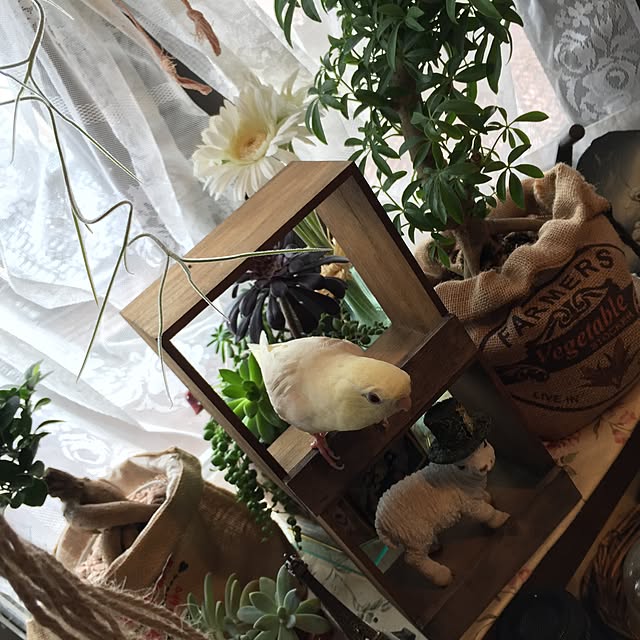 36さんの実例写真