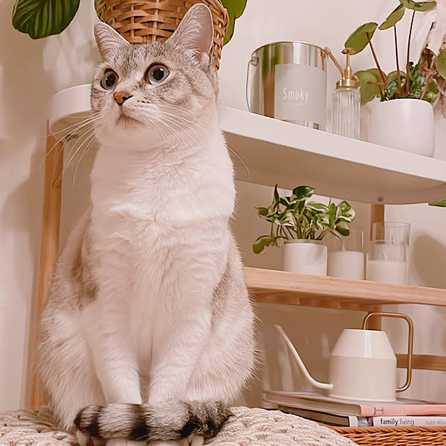 milkcocoaさんの部屋