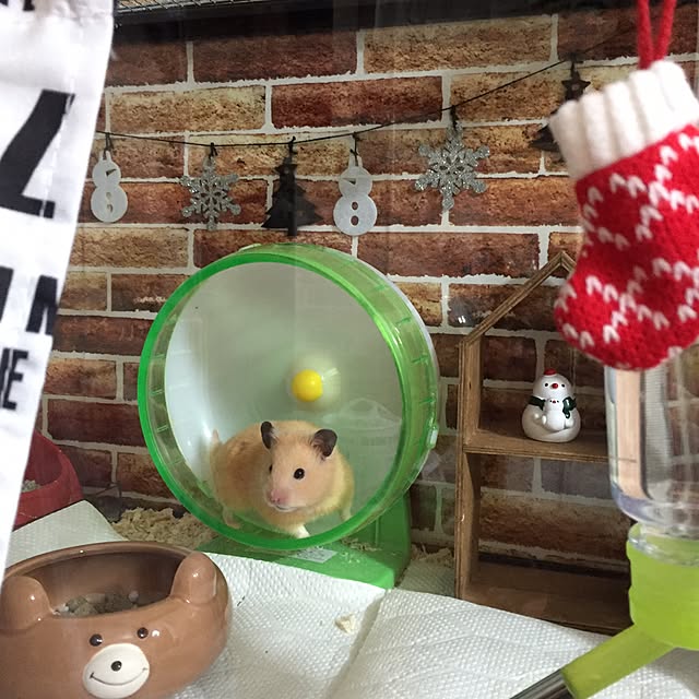 cocoaさんの実例写真