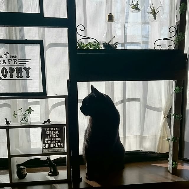 87-JBRsさんの実例写真