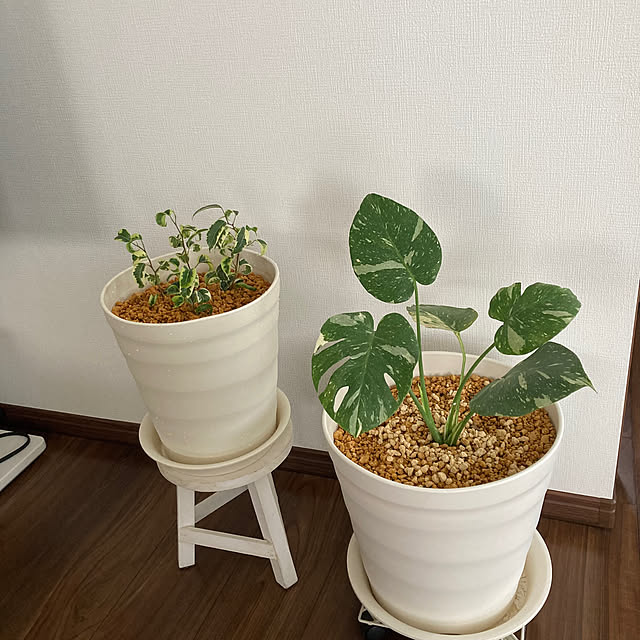 mamaさんの実例写真