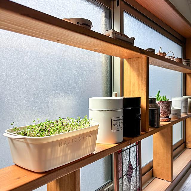 棚/スプラウト栽培/セカンドライフ/古民家暮らし/人生は一生学び...などのインテリア実例 - 2026-03-23 11:29:46