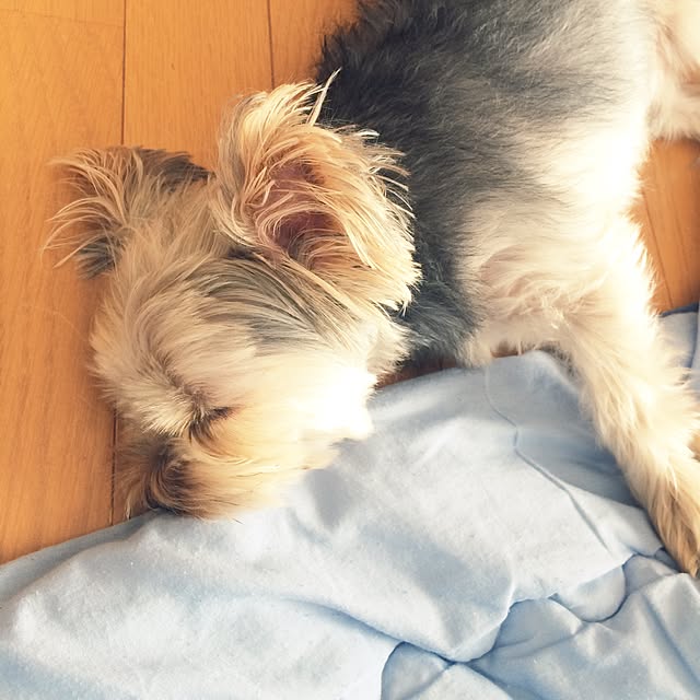 marcheさんの実例写真