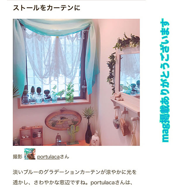 portulacaさんの実例写真