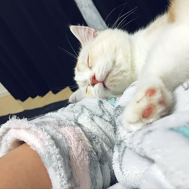 H.Tさんの実例写真