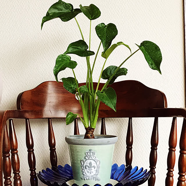 fuyiqian1026さんの実例写真