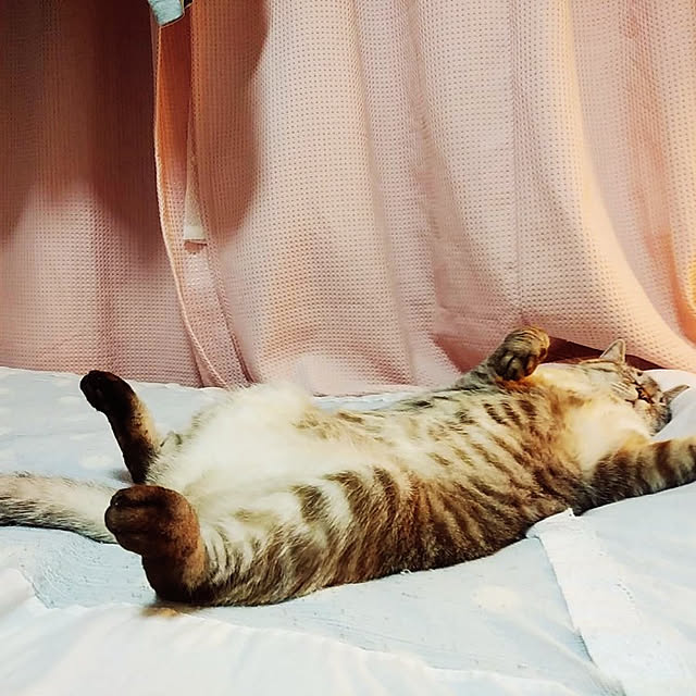 Manaさんの実例写真
