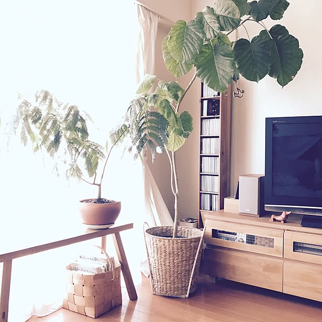 naturallyさんの実例写真