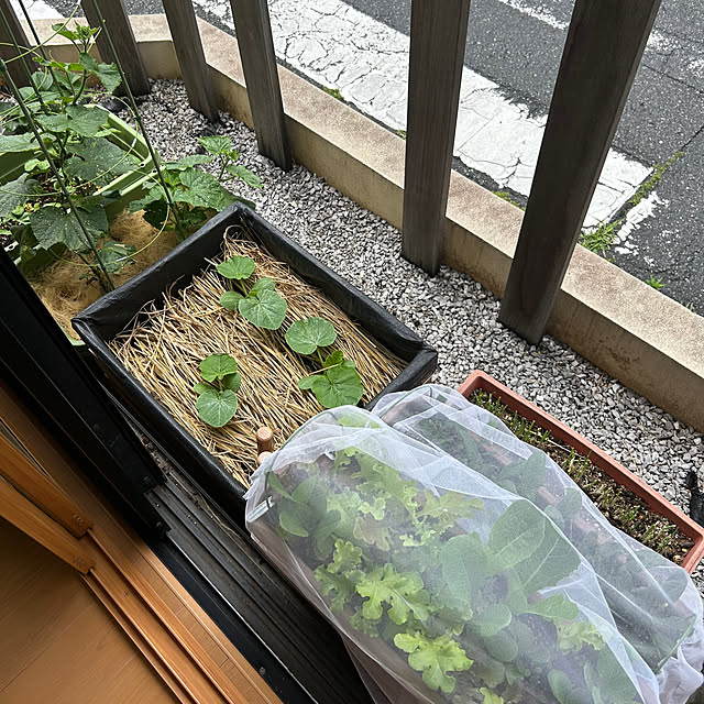 enotasoさんの実例写真