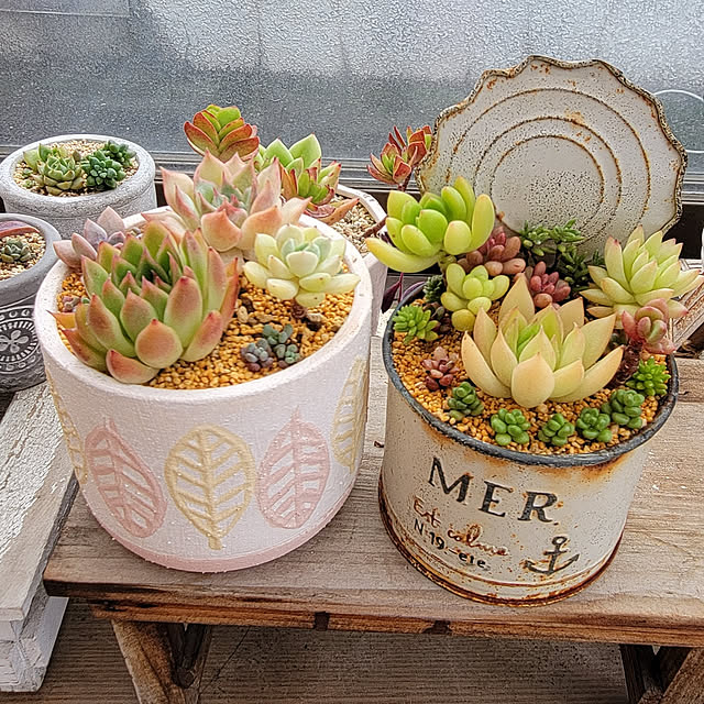 mymさんの実例写真