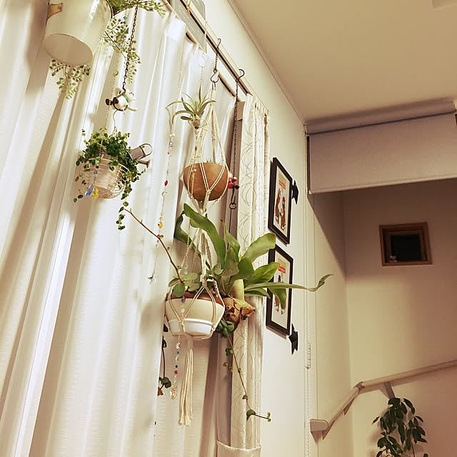 shinoopy0610さんの実例写真