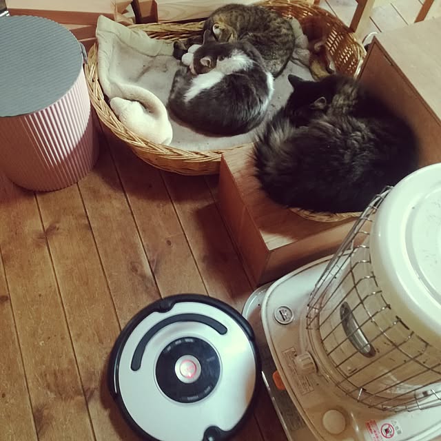 Maki-nekomamireさんの実例写真