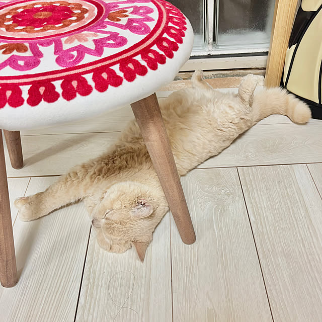 naokoさんの部屋