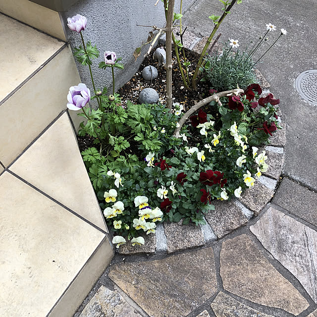 実例写真