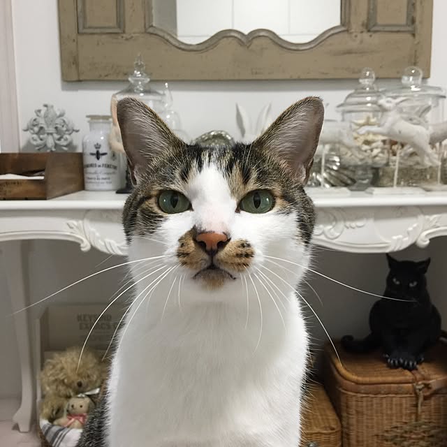 yuchiさんの実例写真