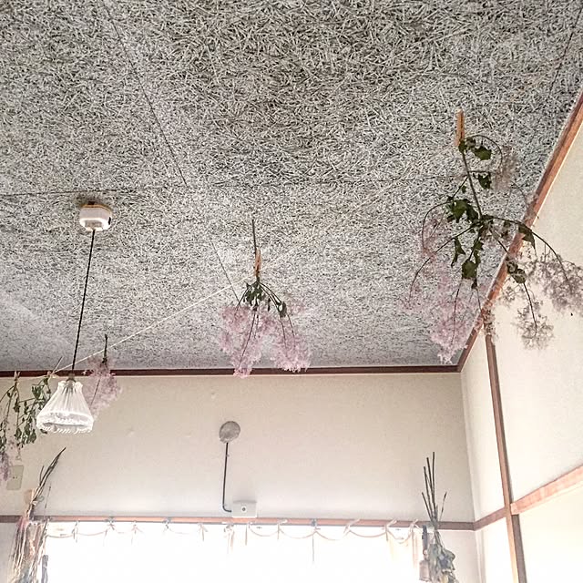 sapiniaさんの実例写真