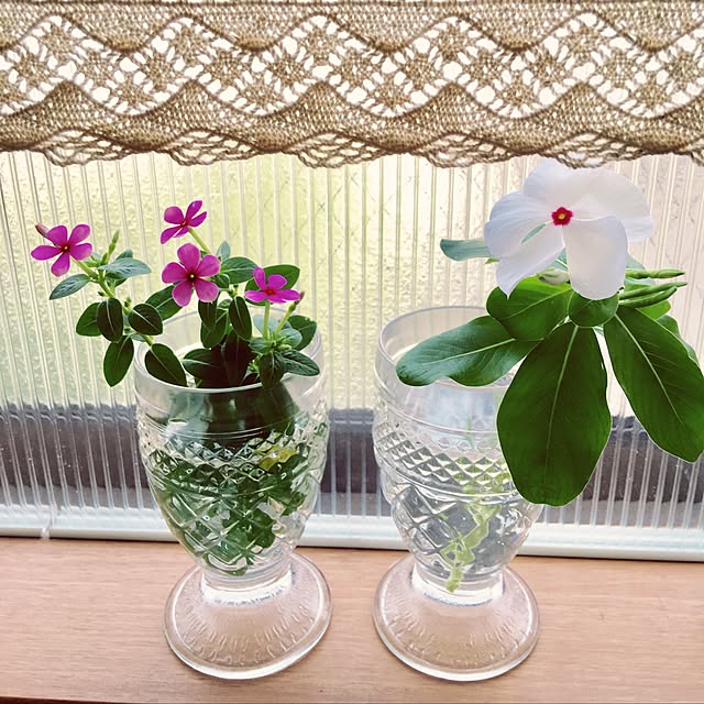 puriyuzuさんの実例写真