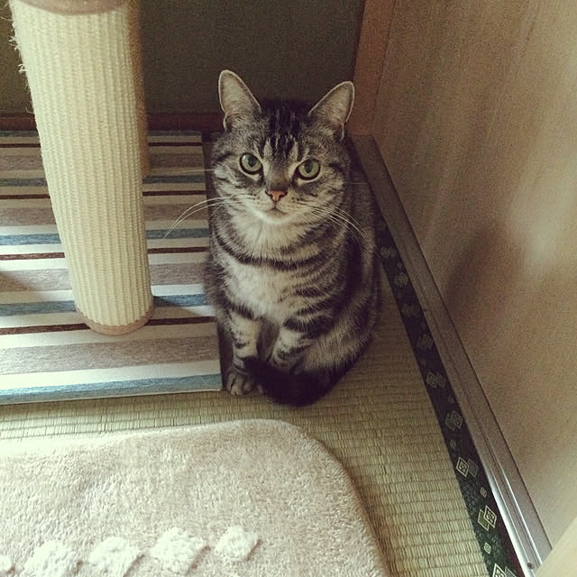 richanさんの実例写真