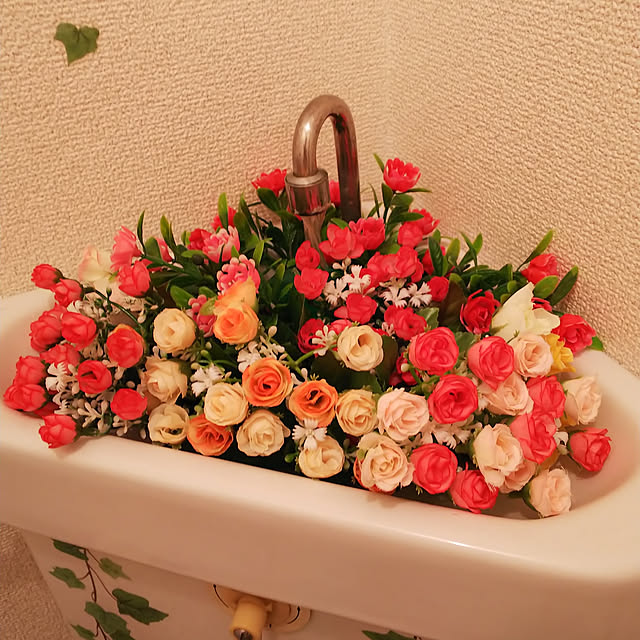 umakageさんの部屋