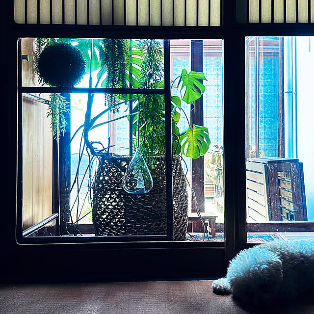 chacoさんの実例写真