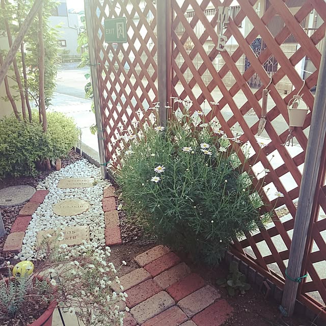 Ayaさんの実例写真