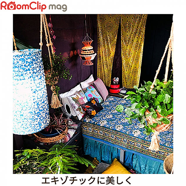 nikkoriさんの実例写真