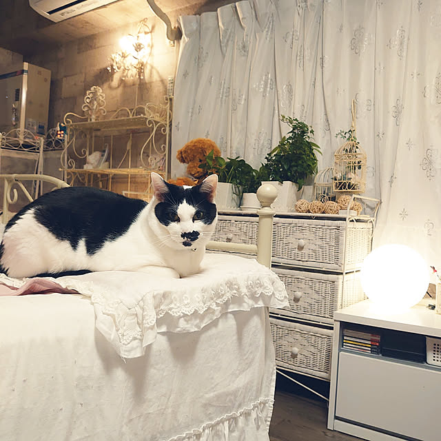 asuminさんの実例写真