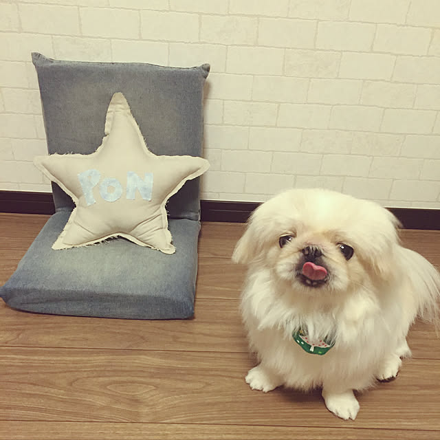 chieさんの実例写真