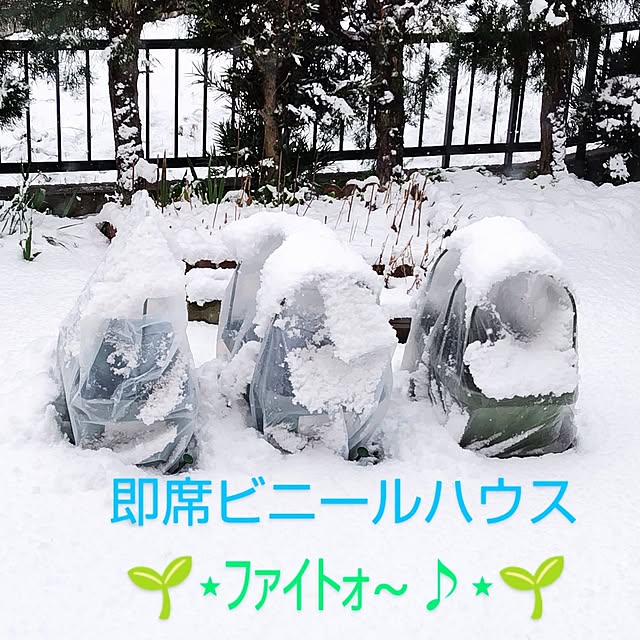 katさんの部屋