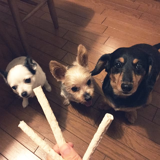 ohanaさんの実例写真