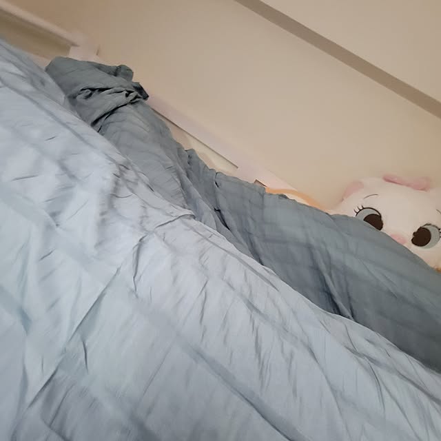 Manamiさんの実例写真