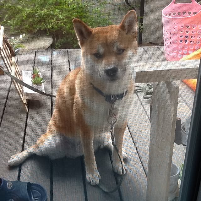 kotaさんの実例写真