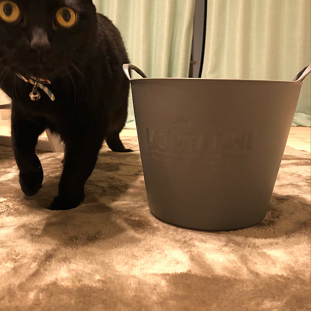 necocoさんの実例写真
