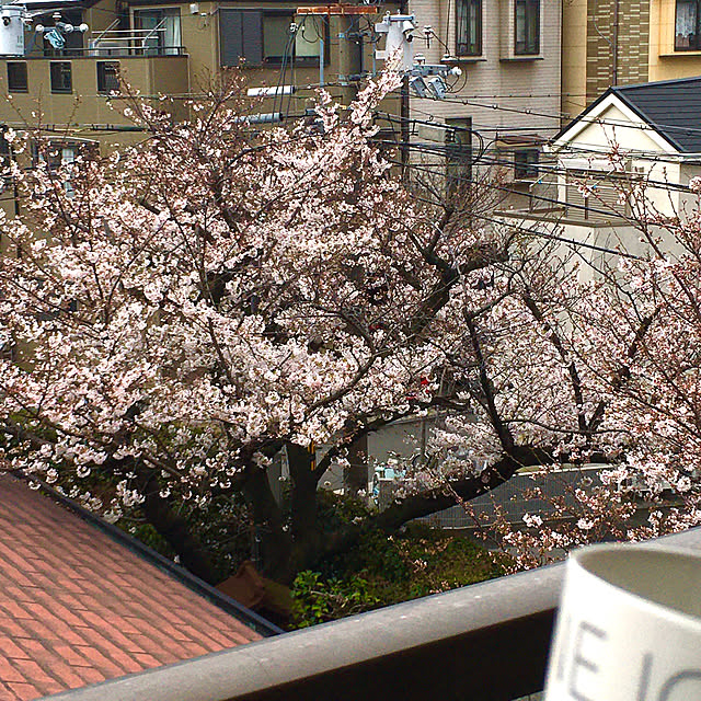 sachiyo0915さんの実例写真