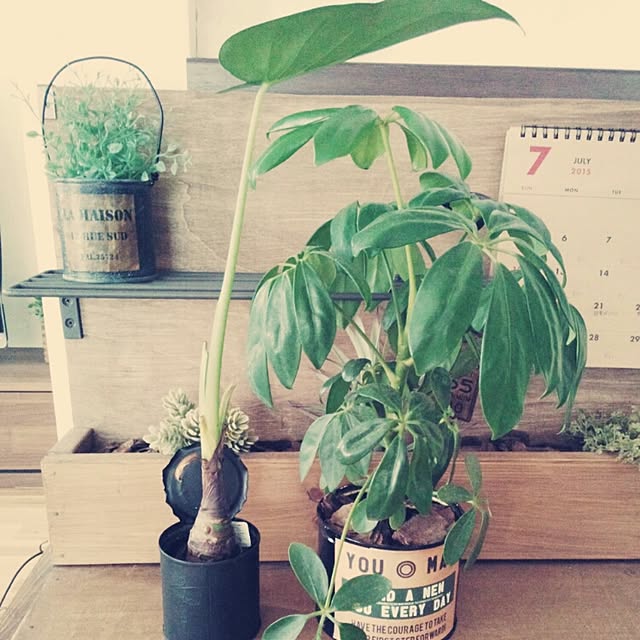 ベッド周り/RC兵庫支部/チキンなハッピー野郎!!/関西好きやねん会/Instagram→nyanya0906...などのインテリア実例 - 2015-07-16 11:59:06