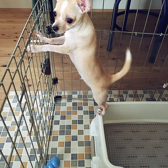 suzuさんの実例写真