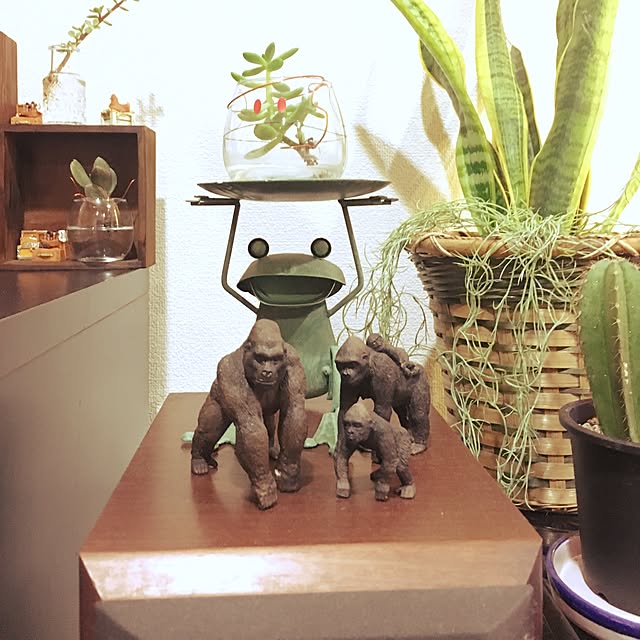 sadaさんの実例写真