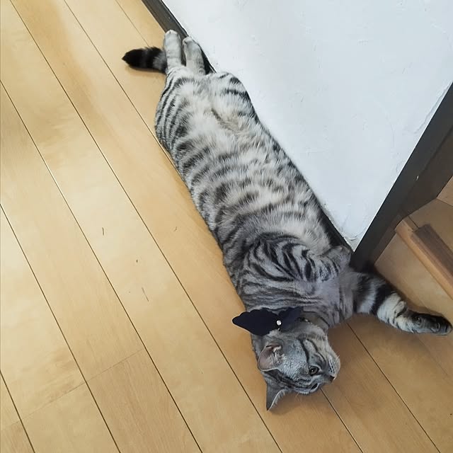 hiro3さんの部屋