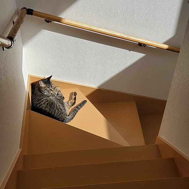 waisuさんの実例写真