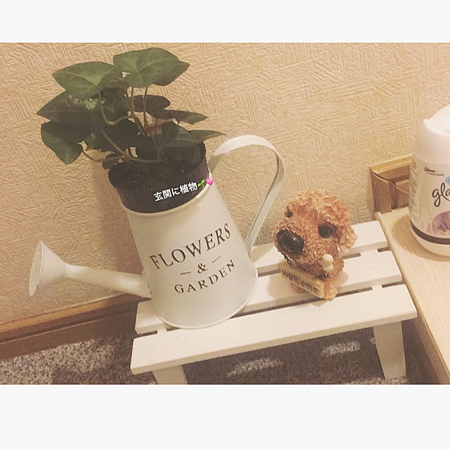 Ayaneさんの実例写真