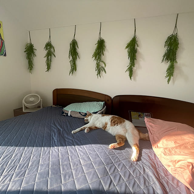 Harukiさんの部屋