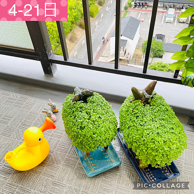 aureaさんの実例写真