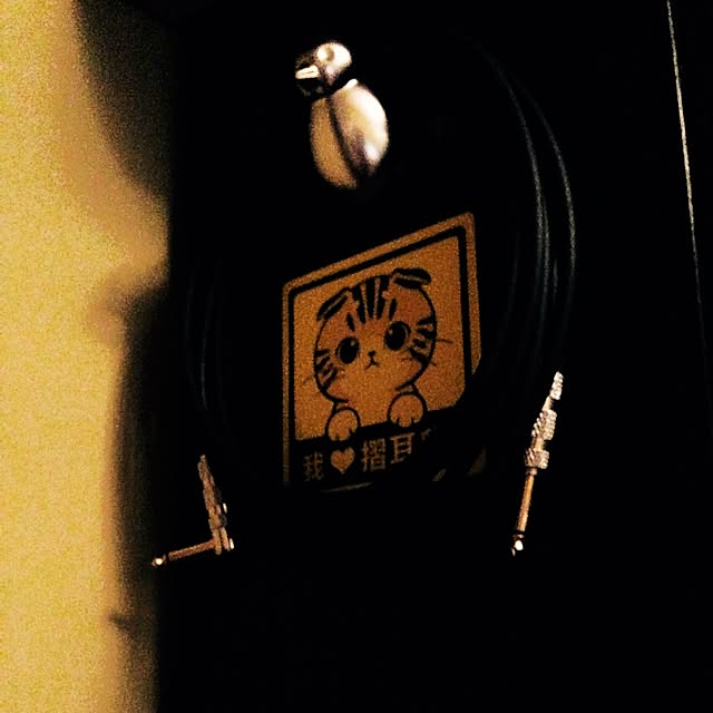 johnnysrockerさんの実例写真