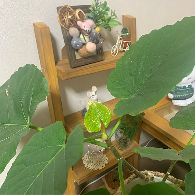 JUNさんの実例写真