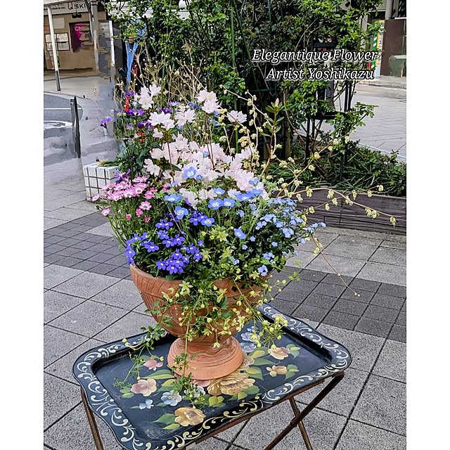 ElegantiqueFlowerさんの部屋