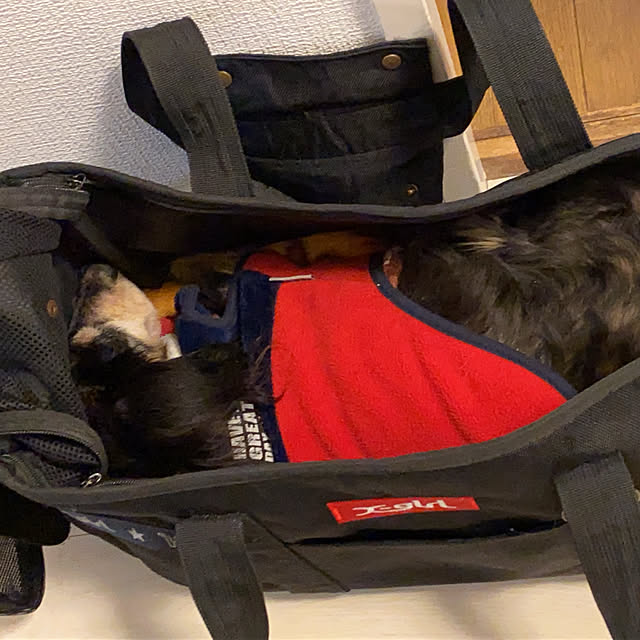 ohanaさんの実例写真