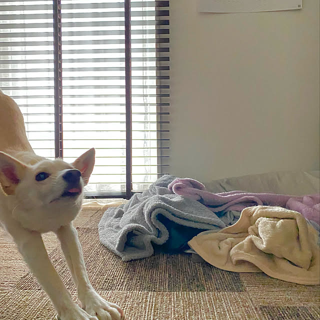 tanboさんの実例写真