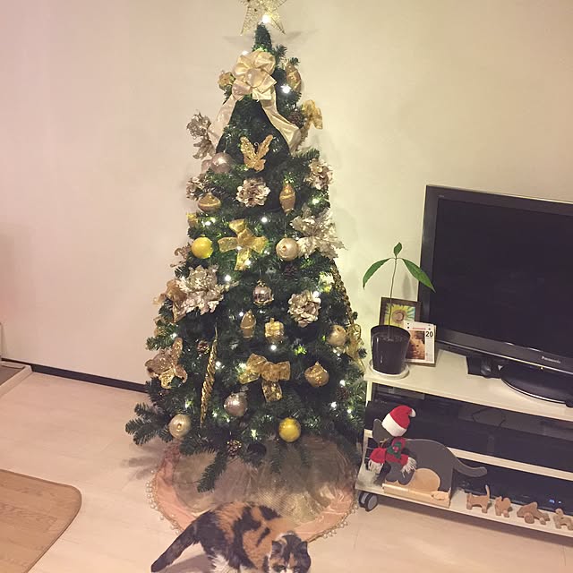 sora_sanさんの実例写真