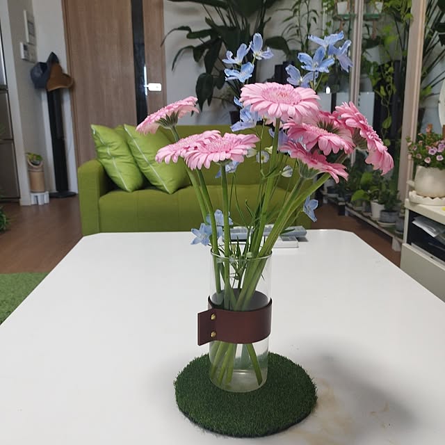 机/観葉植物のインテリア実例 - 2024-05-25 08:39:28
